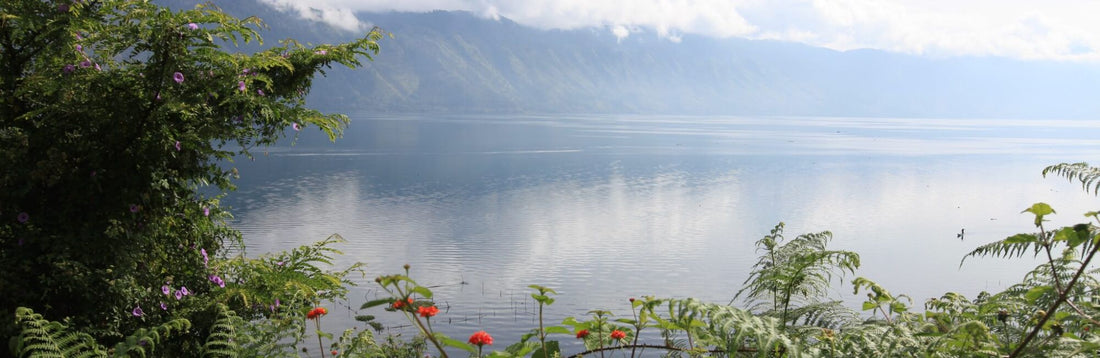 Giling Basah - Die einzigartige Methode der Kaffeeaufbereitung aus Indonesien
