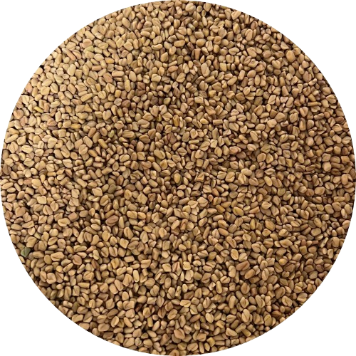 plaisir-bio-bockshornklee-open