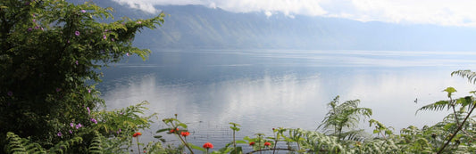 Giling Basah - Die einzigartige Methode der Kaffeeaufbereitung aus Indonesien