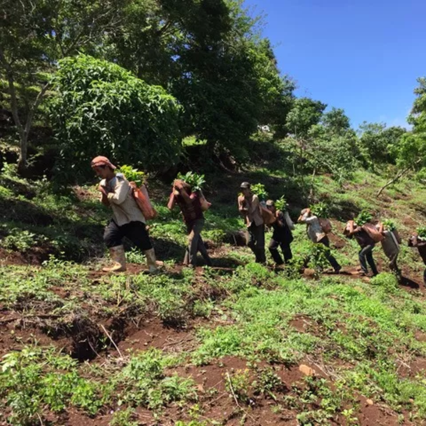 antigua-suichitan-14