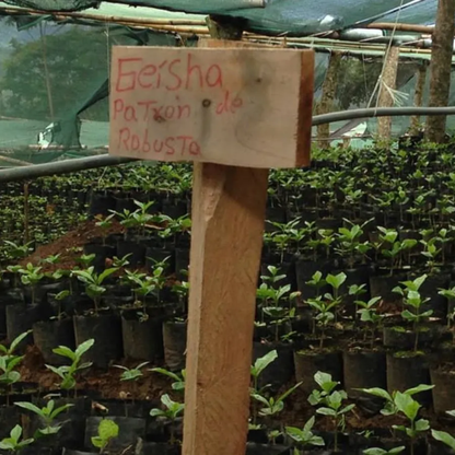 antigua-suichitan-7