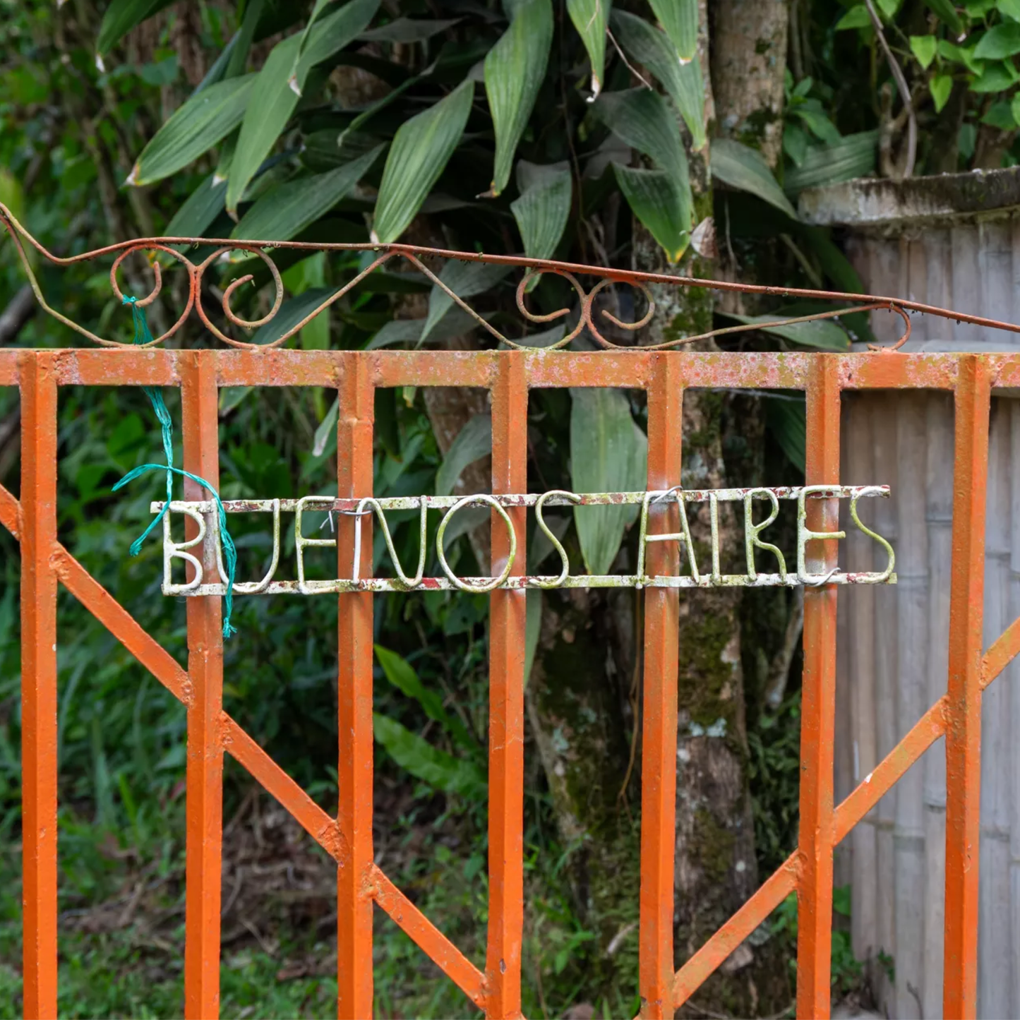 Colombie Pink Bourbon – Buenos Aires