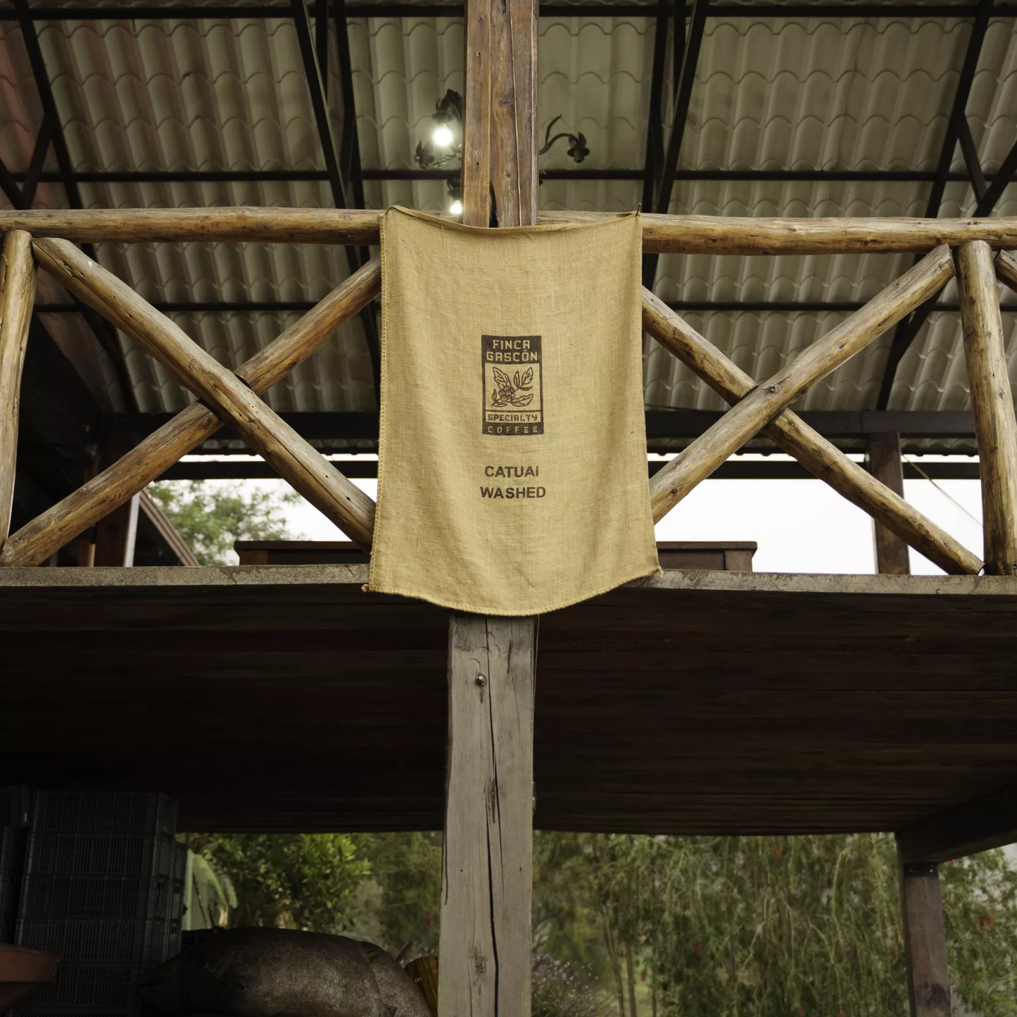 finca-gascon-13