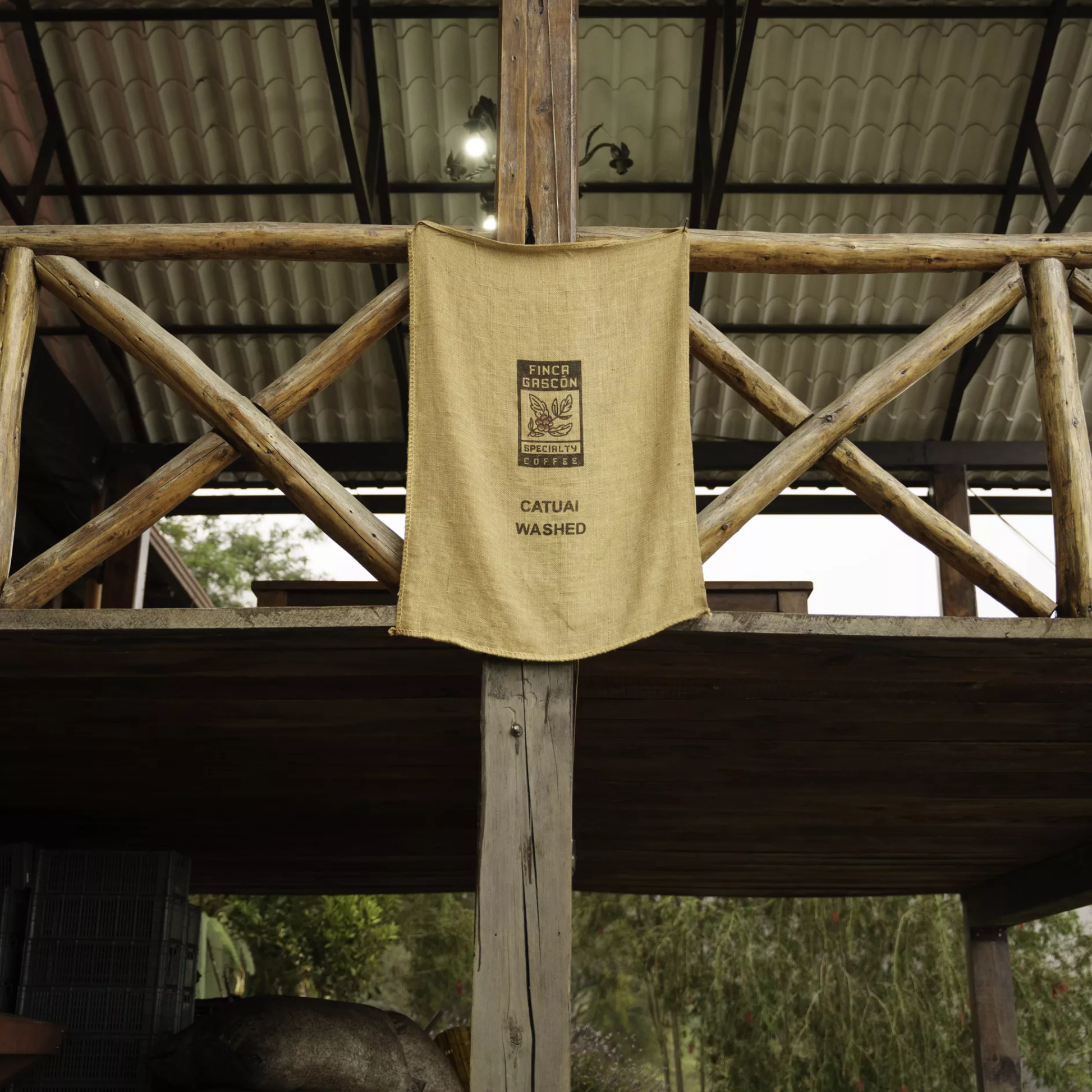 finca-gascon-13
