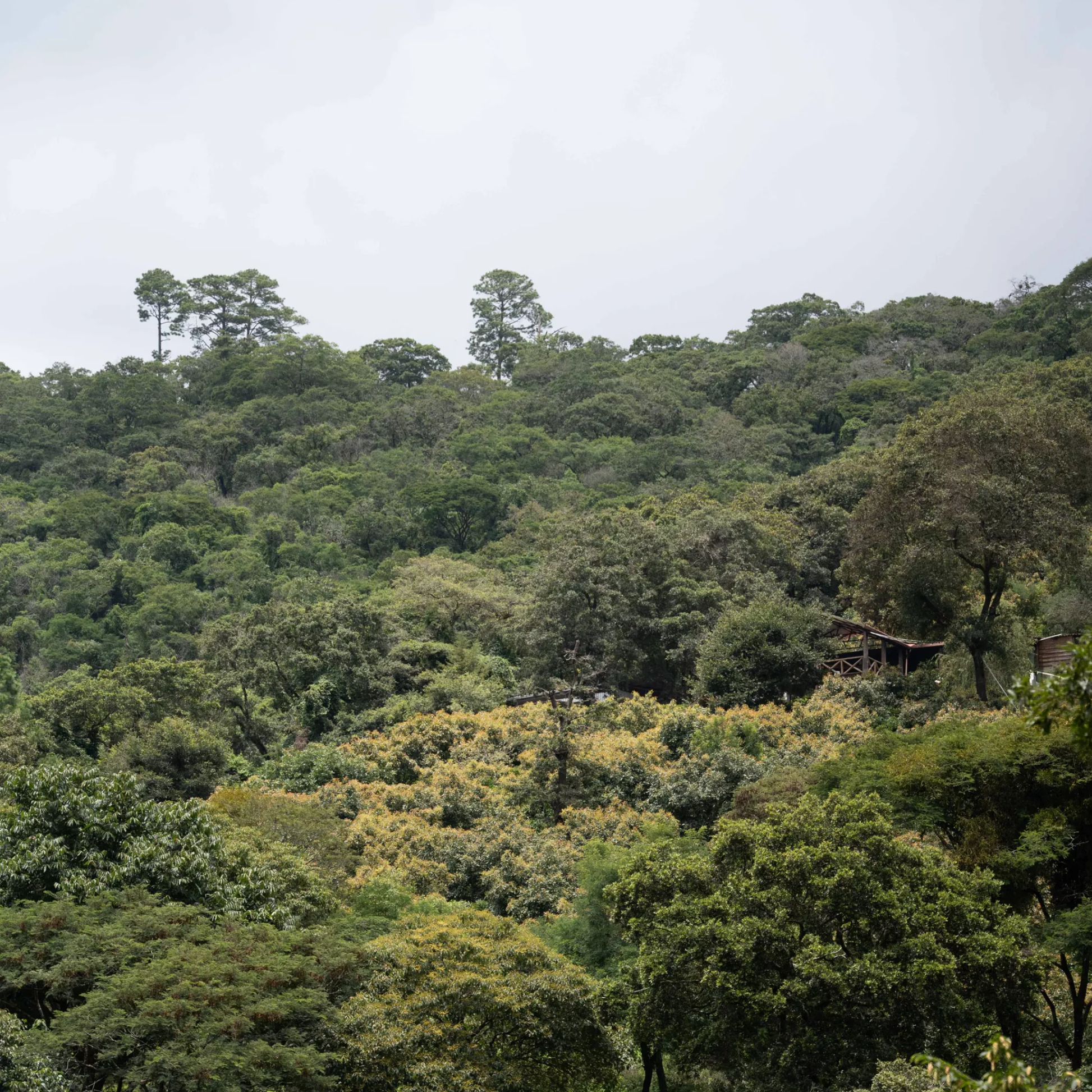 finca-gascon-17