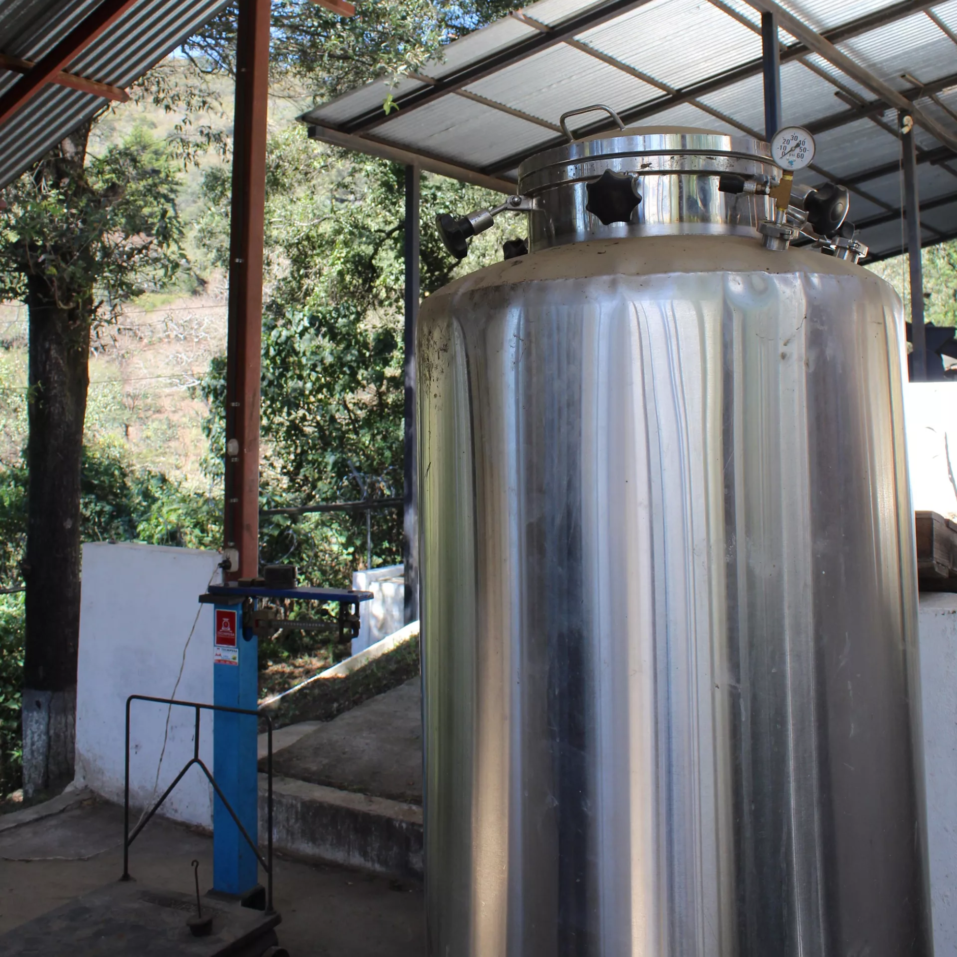 finca-gascon-10