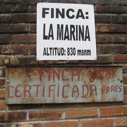 mondodelcaffe-el-salvador-apaneca-ilamatepec-phoenix-shg-schild