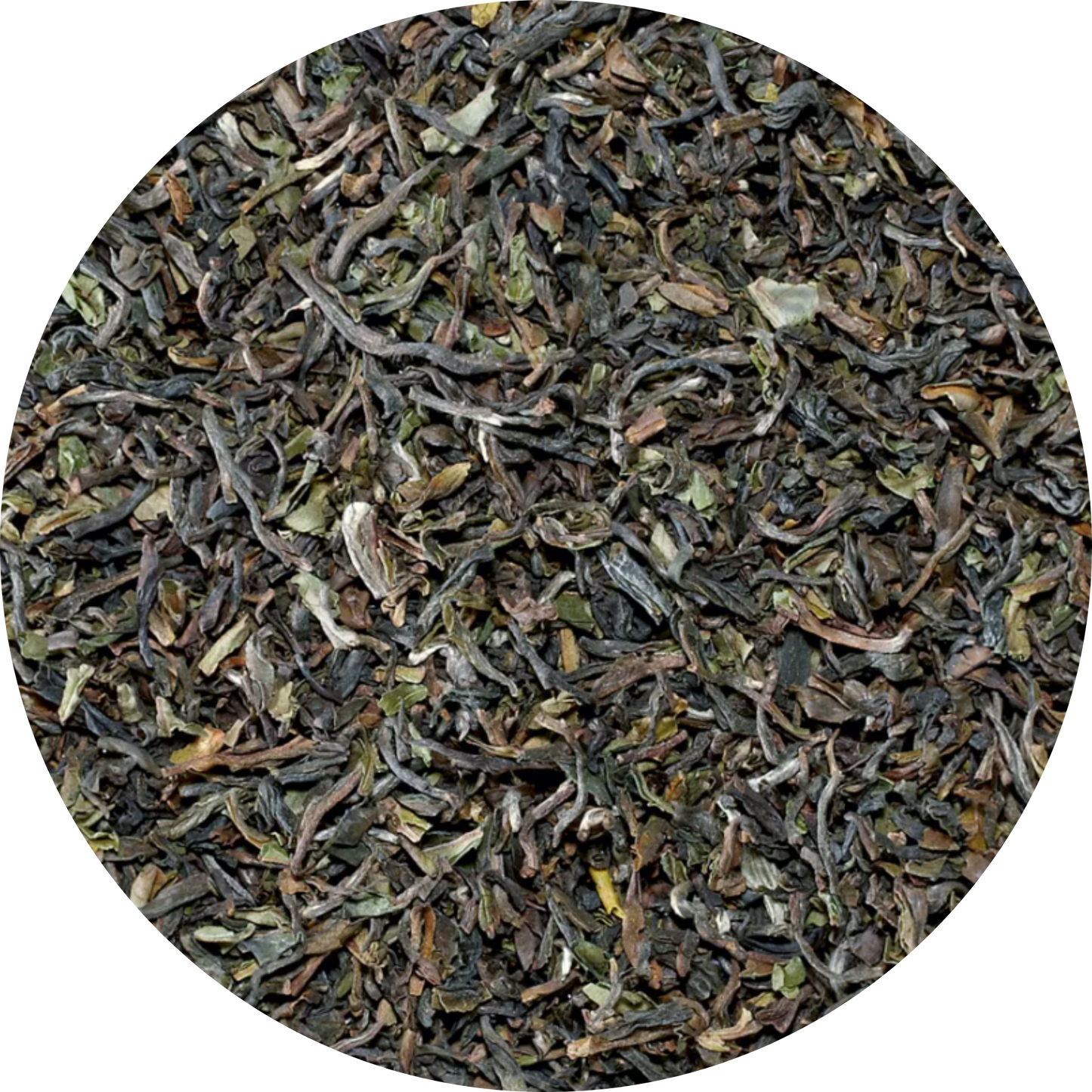 Plaisir Bio Darjeeling Seeyok Tee