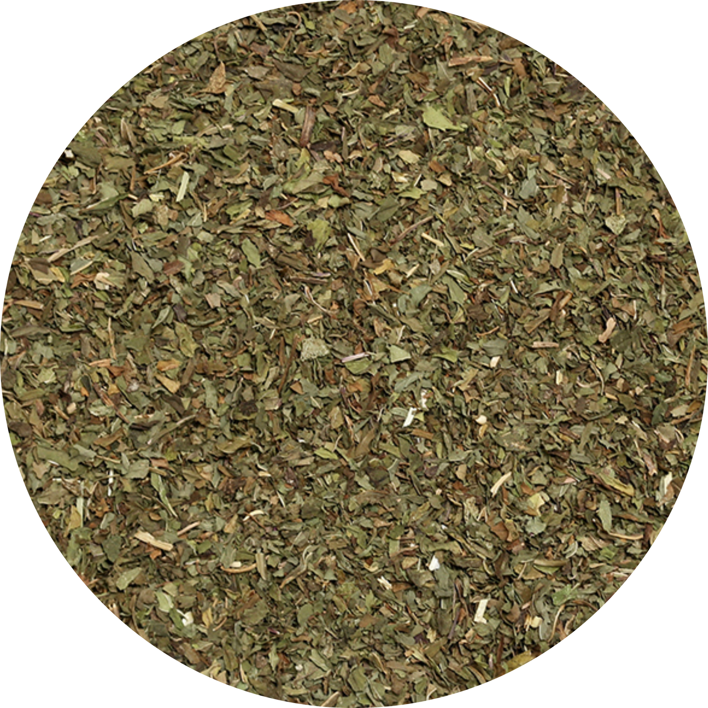 Plaisir Bio Pfefferminze Tee