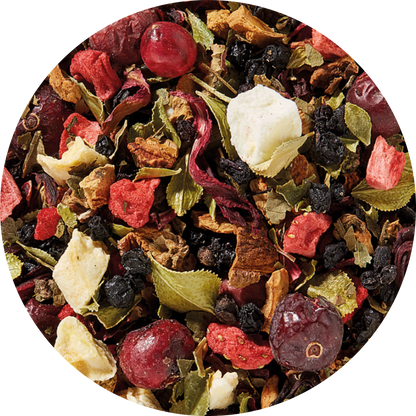 Plaisir Bio Rote Früchte Tee