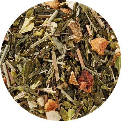 Plaisir Bio Sencha frische Zitrus Tee