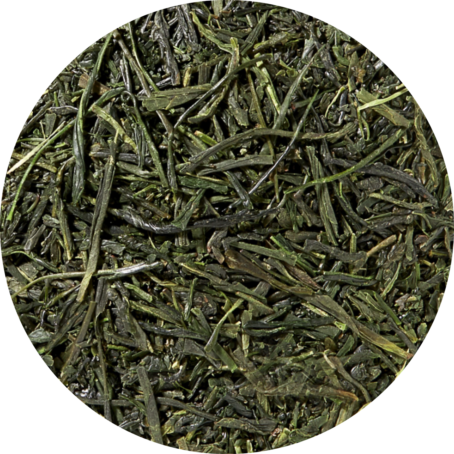 Plaisir Bio Sencha Uchiyama Grüntee