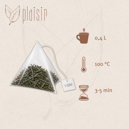 Plaisir Bio Sencha Uchiyama Grüntee